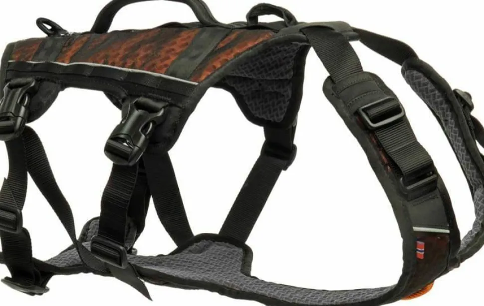 Non-stop Dogwear Rock Harness Long S Black/Orange
