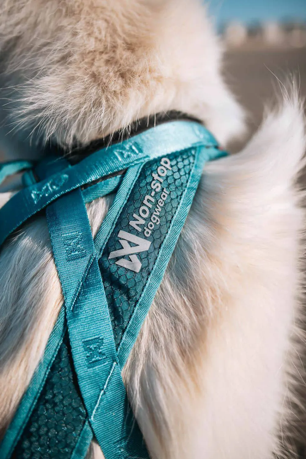 Non-stop Dogwear Rush Harness Teal New