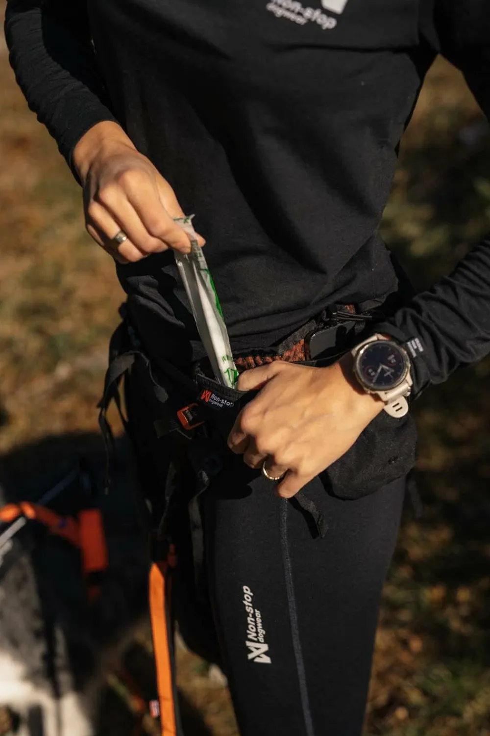 Best Trail Light Belt Black Hund