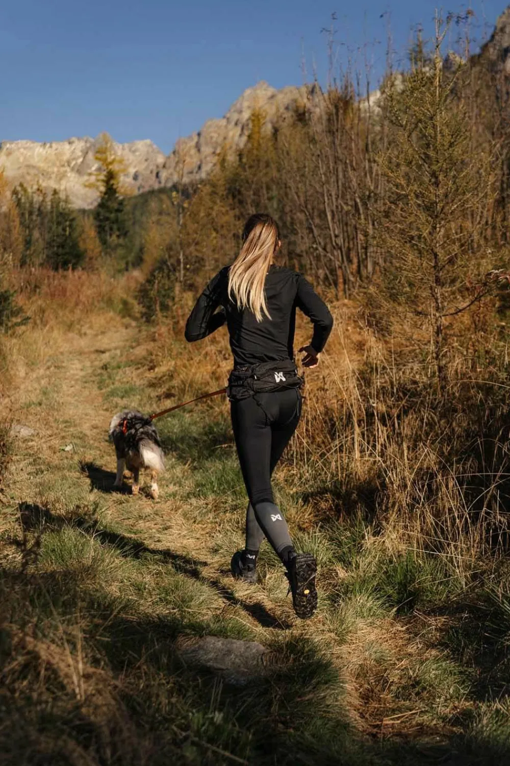 Best Trail Light Belt Black Hund