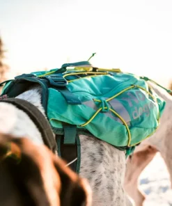 Non-stop Dogwear Trail Light Dog Backpack Teal
