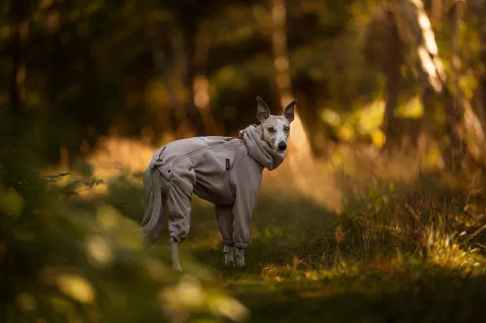 Outlet Trail Quest Fleece Overall - Small Sizes Hund