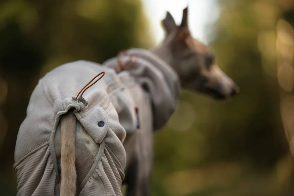 Non-stop Dogwear Trail Quest Fleece Overall Sand