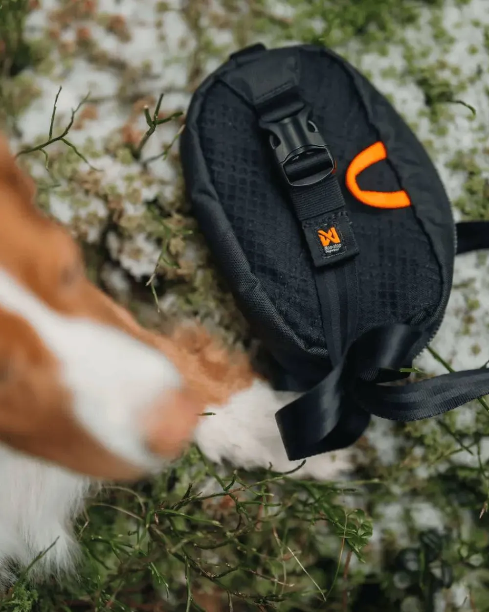 Non-stop Dogwear Trail Quest Fanny Pack Black Hot