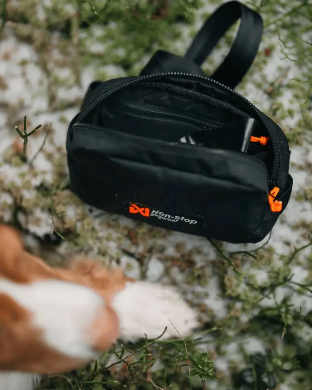 Non-stop Dogwear Trail Quest Fanny Pack Black Hot