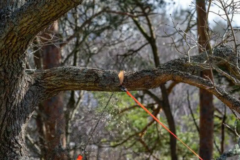 Discount Arborist 2 Verktyg & Redskap