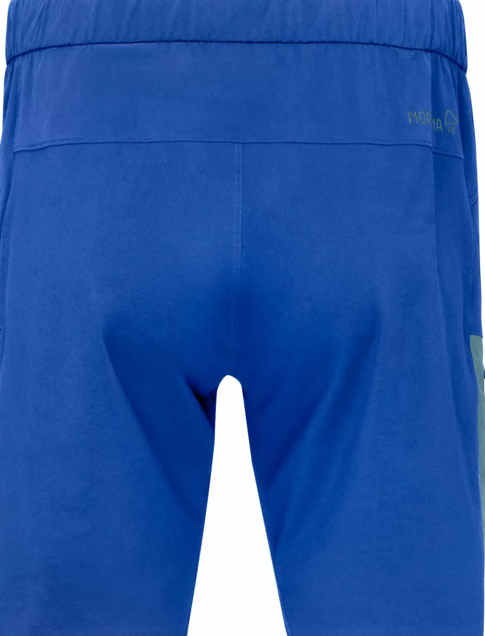 Norrøna Men's Falketind Flex1 Light Shorts Limoges