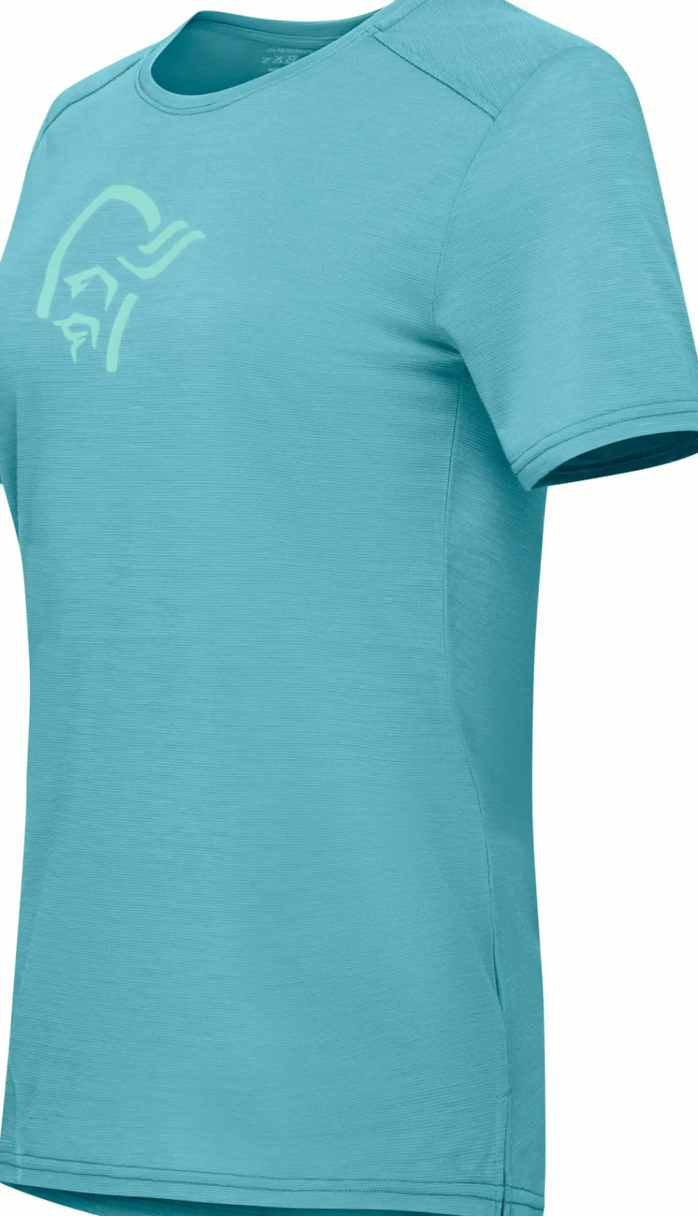 Hot Women's Femund Equaliser Merino T- Shirt Damtröjor & Skjortor