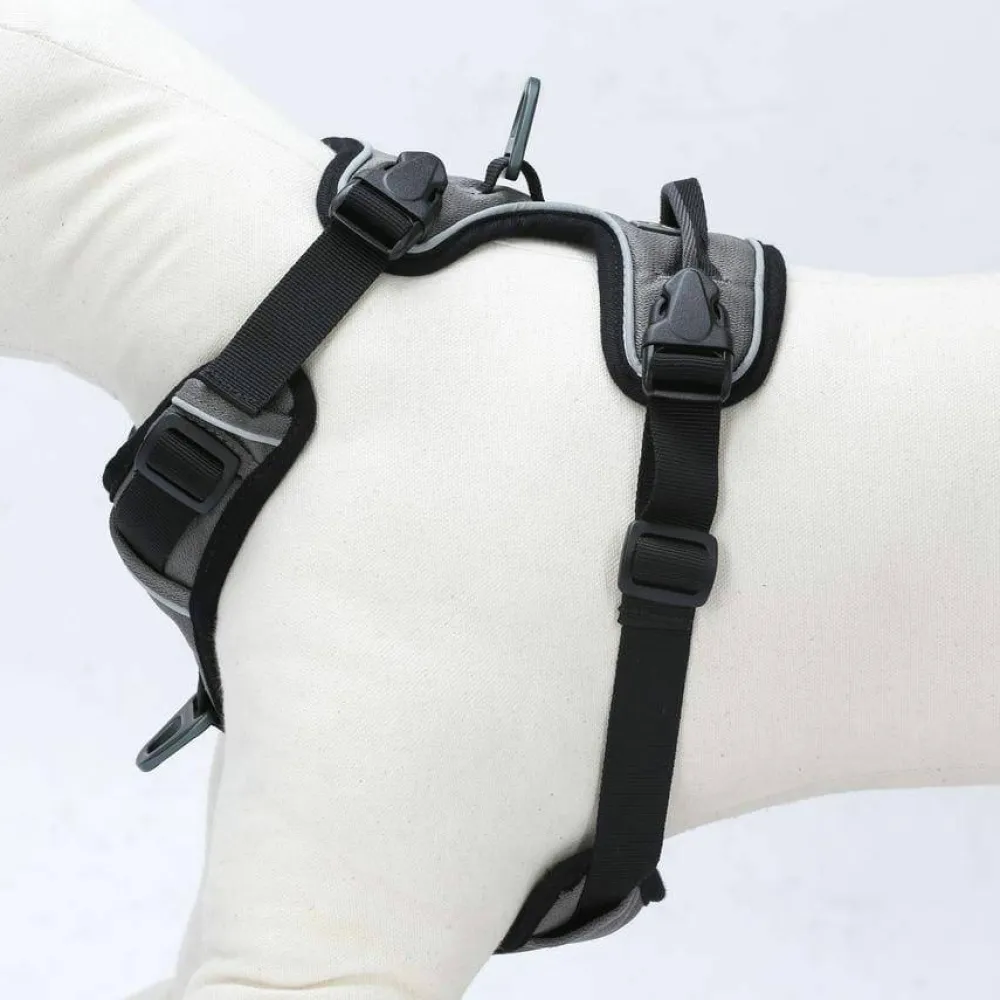 OllyDog Alpine Reflective Harness Flint Hot