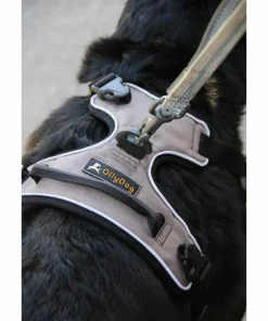 OllyDog Alpine Reflective Harness Flint Hot