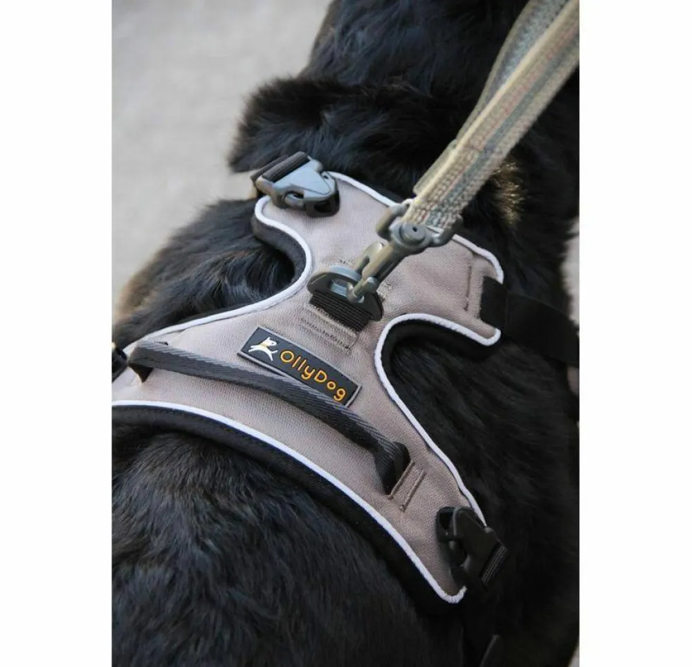 OllyDog Alpine Reflective Harness Flint Hot
