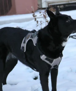 OllyDog Alpine Reflective Harness Flint Hot
