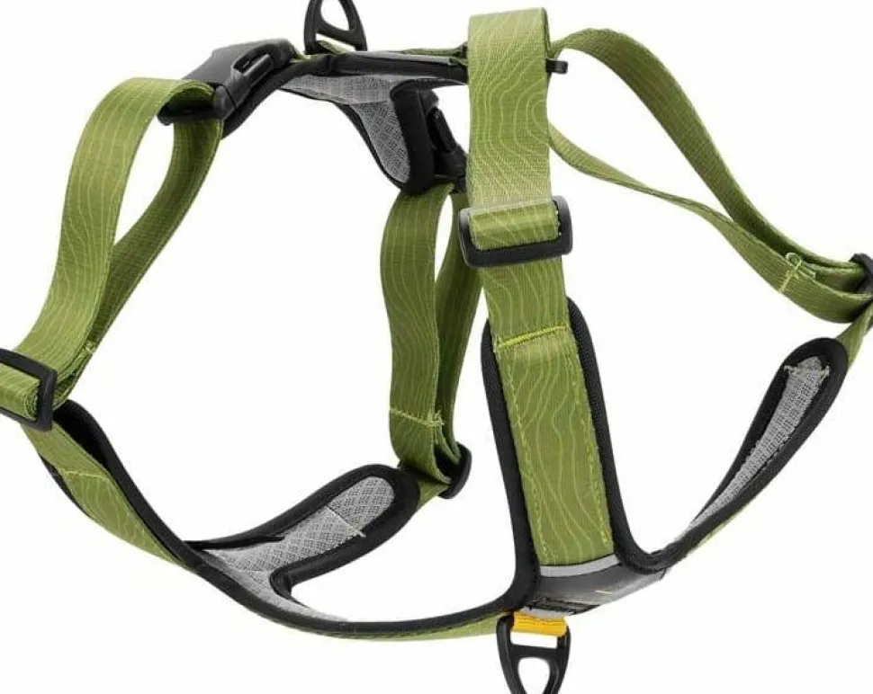 OllyDog Alpine Reflective Comfort Harness Cactus