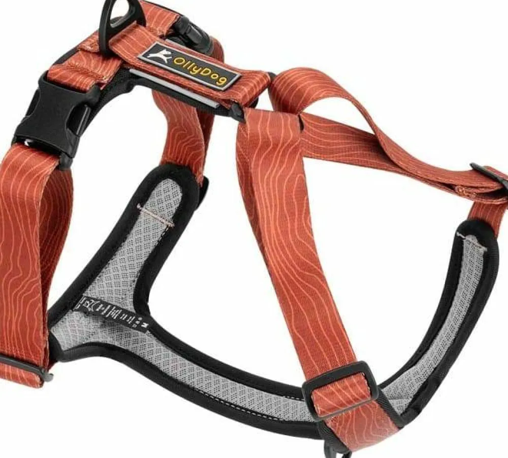 Hot Alpine Reflective Comfort Harness Hund