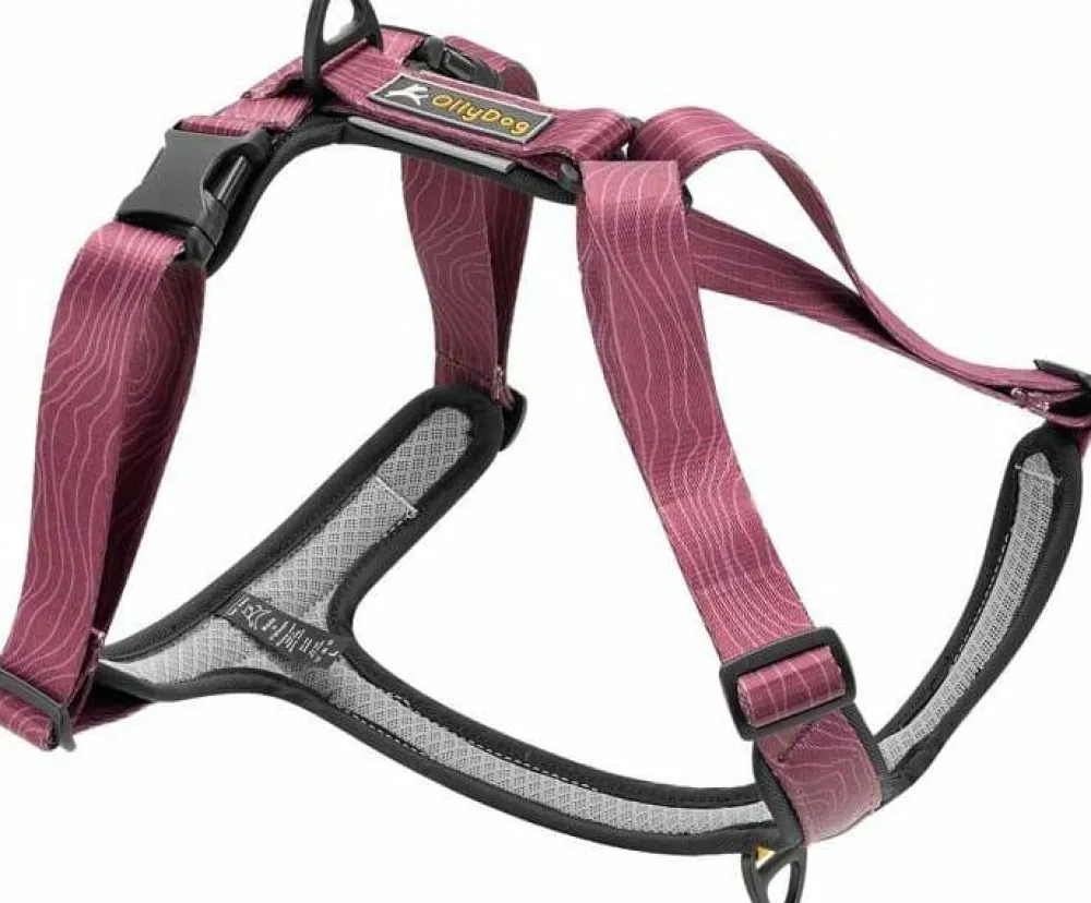 OllyDog Alpine Reflective Comfort Harness Rosewood New
