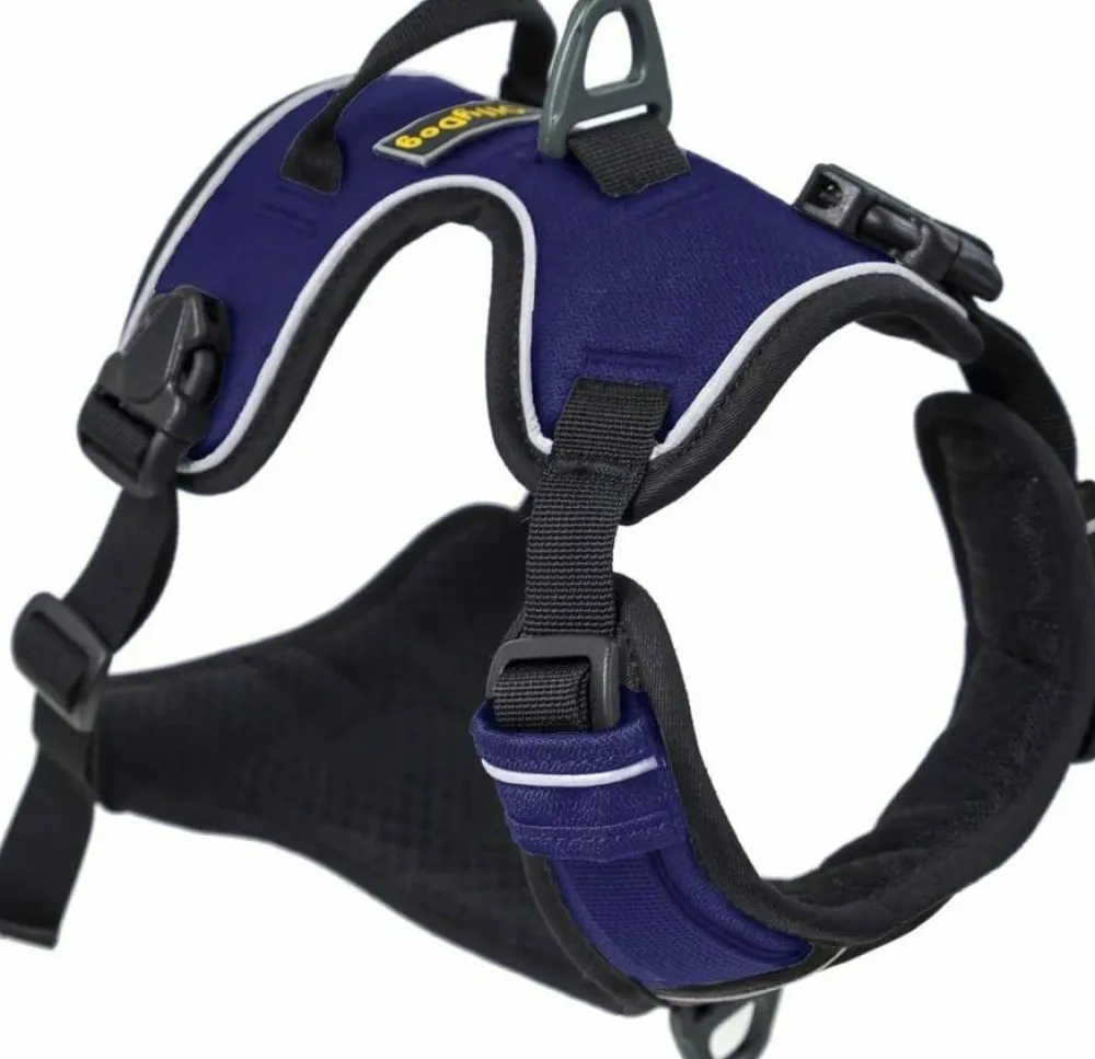 Clearance Alpine Reflective Harness Hund