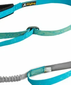 OllyDog Flagstaff Adjustable Spring Leash Sky Bark Outlet