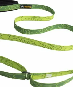 OllyDog Flagstaff Adjustable Leash Sage Bark