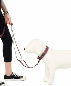 Discount Flagstaff Adjustable Leash Hund