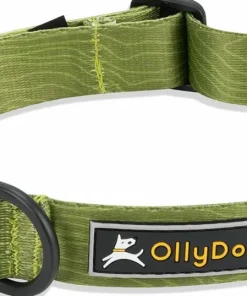 OllyDog Flagstaff Collar Cactus