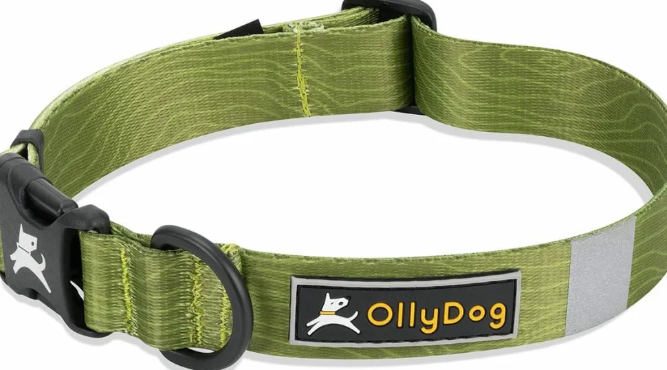 OllyDog Flagstaff Collar Cactus