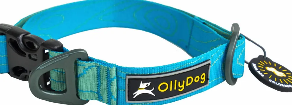 OllyDog Flagstaff Collar Sky Bark
