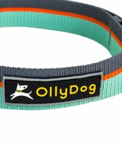OllyDog Flagstaff Collar Surf Discount