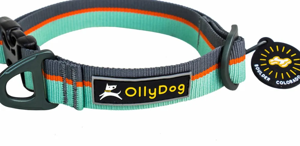 OllyDog Flagstaff Collar Surf Discount