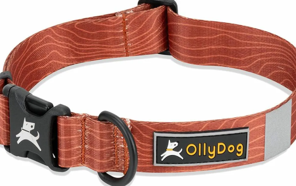 OllyDog Flagstaff Collar Clay