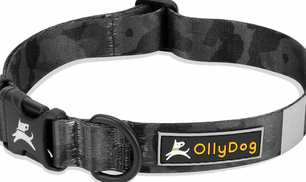 Hot Flagstaff Collar Hund
