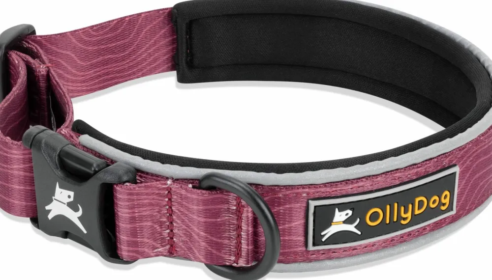 OllyDog Flagstaff Reflective Comfort Collar Rosewood Online