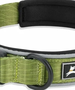 OllyDog Flagstaff Reflective Comfort Collar Cactus