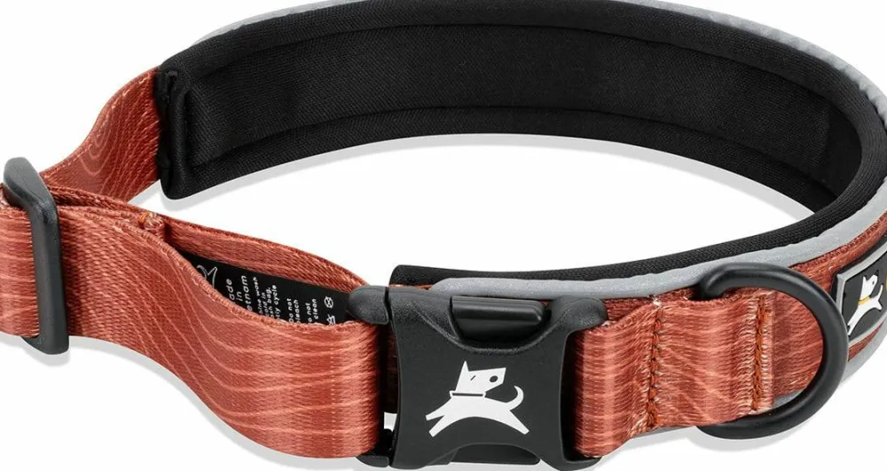 Hot Flagstaff Reflective Comfort Collar Hund