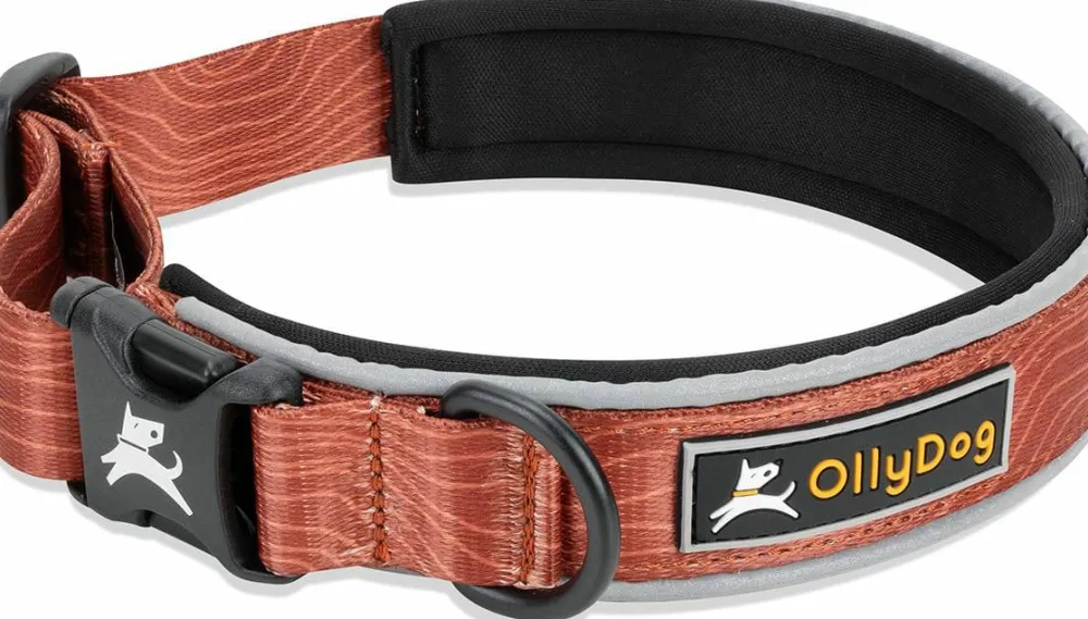 Hot Flagstaff Reflective Comfort Collar Hund