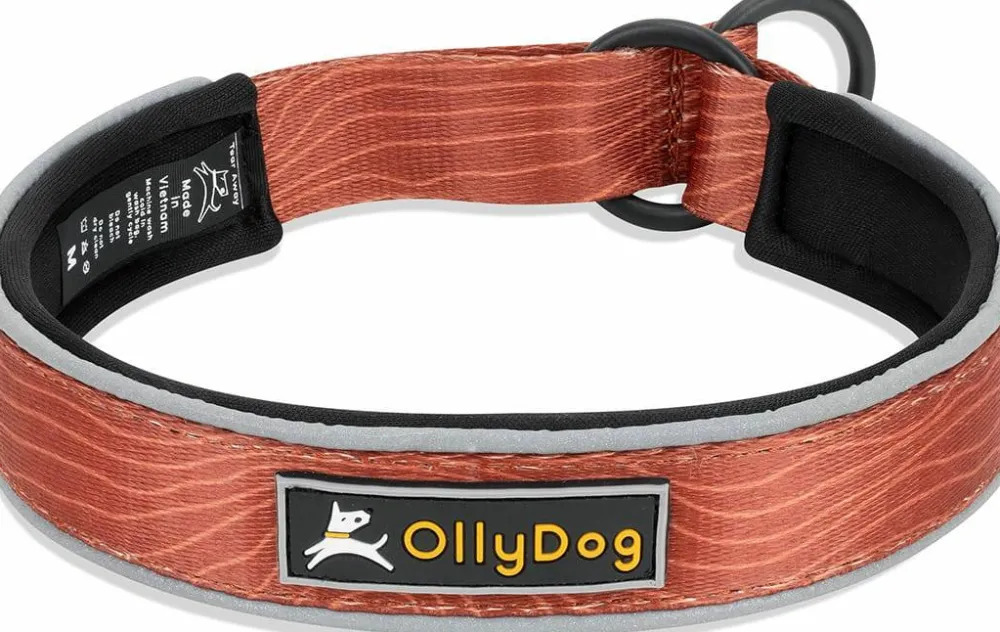 OllyDog Martingale Reflective Comfort Collar Clay Outlet