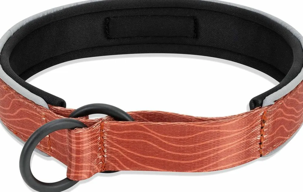 OllyDog Martingale Reflective Comfort Collar Clay Outlet