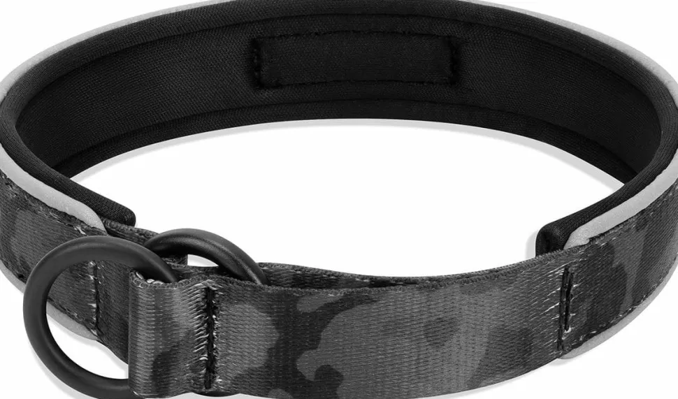 OllyDog Martingale Reflective Comfort Collar Dream Camo