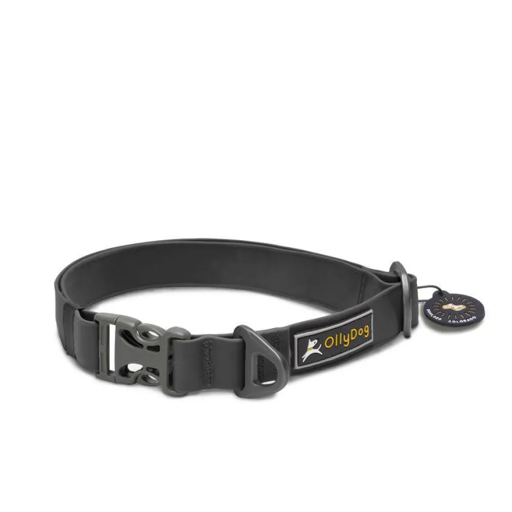 OllyDog Tilden Collar Black Sale