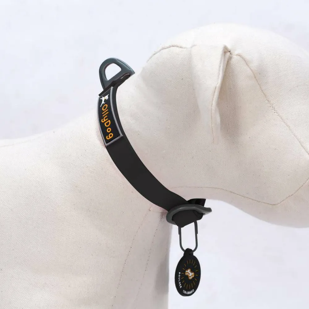OllyDog Tilden Collar Black Sale