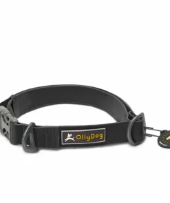 OllyDog Tilden Collar Black Sale