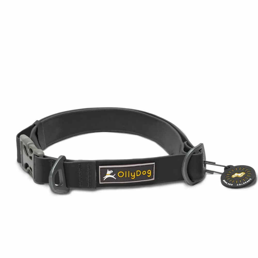 OllyDog Tilden Collar Black Sale