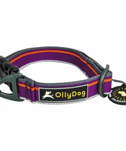 OllyDog Urban Trail Reflective Collar Wild Aster Clearance