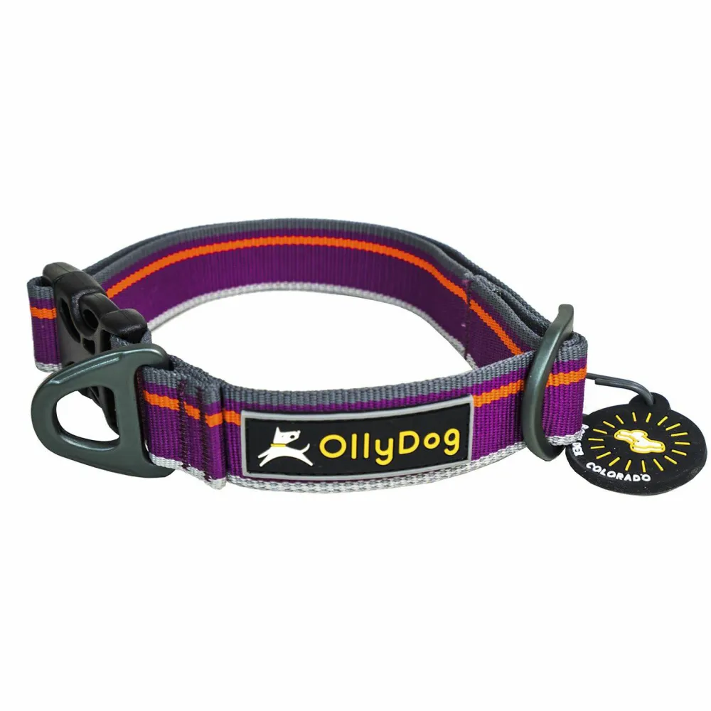 OllyDog Urban Trail Reflective Collar Wild Aster Clearance