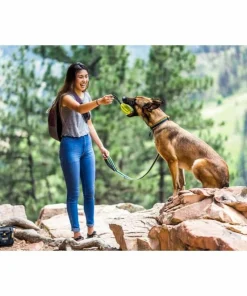 Clearance Urban Trail Reflective Collar Hund