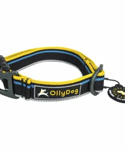 Clearance Urban Trail Reflective Collar Hund