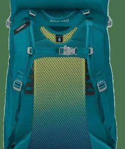 Osprey Kids' Ace 38 Blue Spikemoss/Deep Peyto