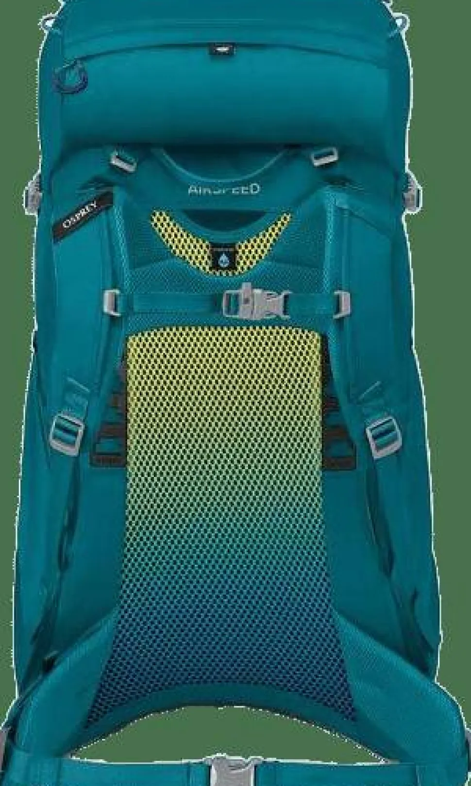 Osprey Kids' Ace 38 Blue Spikemoss/Deep Peyto