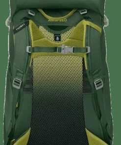 Osprey Kids' Ace 38 Green Canopy/Matcha Green Sale