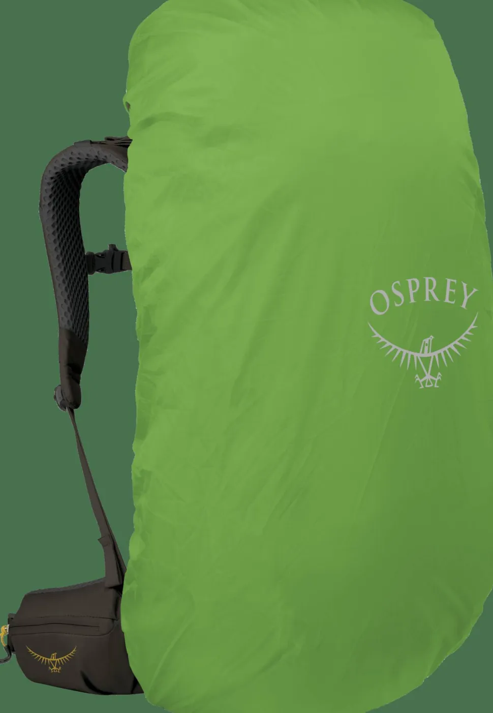 Osprey Men's Kestrel LT 65 Moss Green