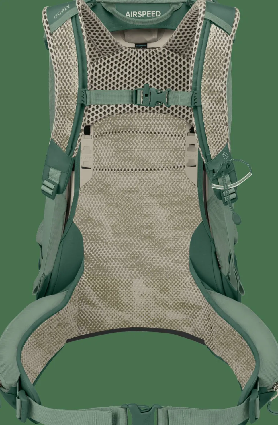 Osprey Men's Stratos 24 Pine Leaf Green